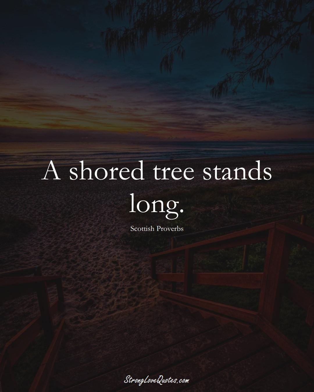 A shored tree stands long. (Scottish Sayings);  #EuropeanSayings