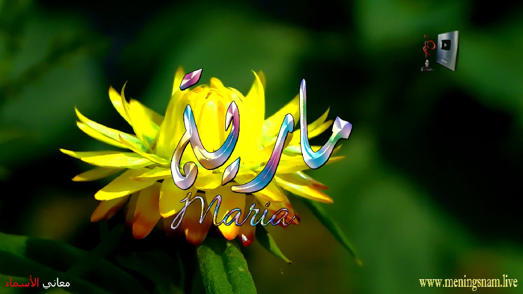 معنى اسم مارية, وصفات, حاملة, هذا الاسم, Maria,