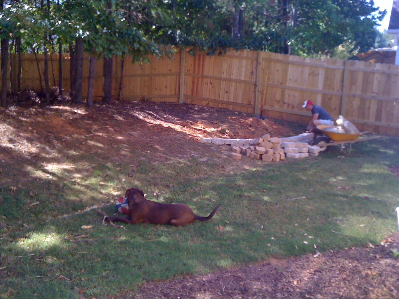 Live and Learn: Fire Pit
