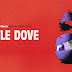 LITTLE DOVE | CONFIRA LETRA E TRADUÇÃO