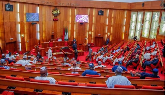 BREAKING NEWS: Buratai, other ex-service chiefs in Senate for ambassadorial screening