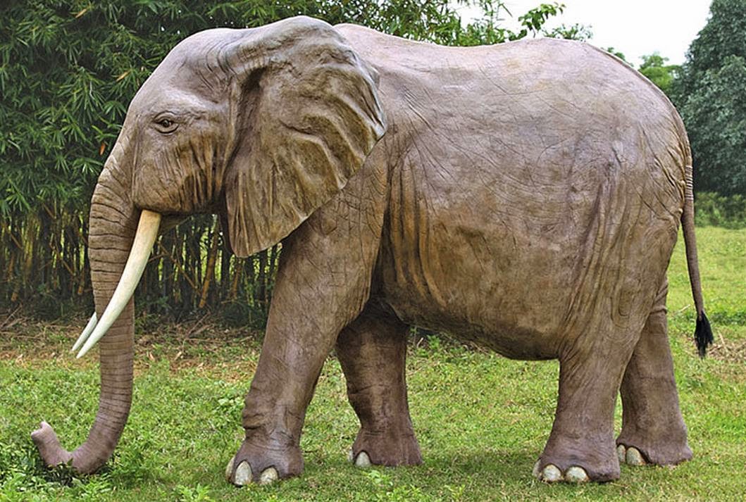  Gajah  pun Memakai Sepatu Dengan Kaki  Tangguh Teknik Islam