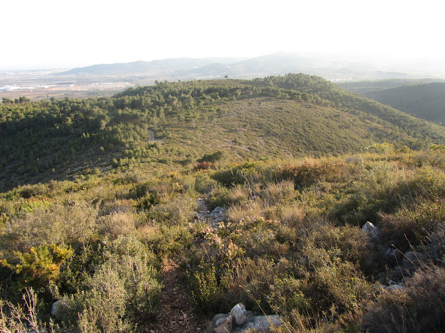 COLL DELS CARRERS - PUIG DE VILAFRANCA, corriol des del Coll dels Carrers al Puig de Vilafranca