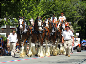 Carro de Caballos en el Desfile del 4 de Julio de Bristol