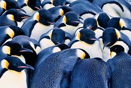 The Coldest Places on Earth