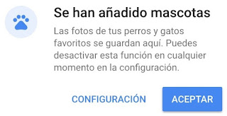 google-fotos-identificador-mascotas