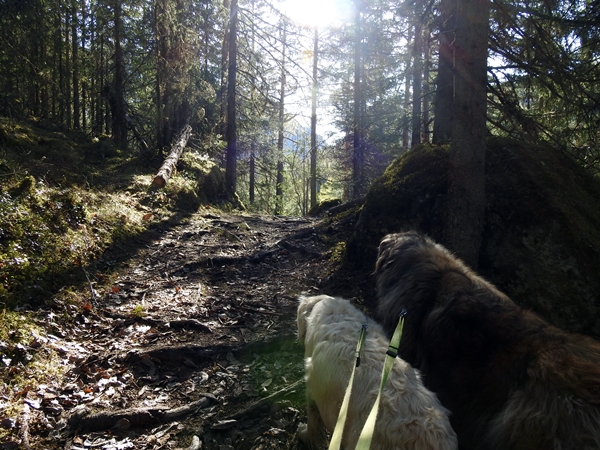 Rukkedøla Nesbyen