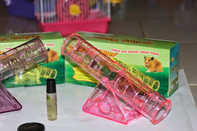 Jual Aksesoris dan Mainan Untuk Hamster