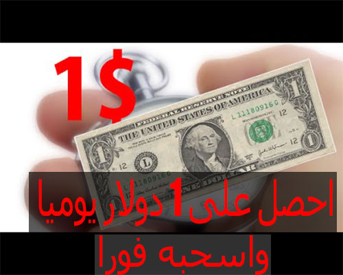 احصل على 1 دولار يوميا من هذا الموقع واسحبه فورا