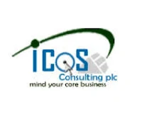 ICOS Consulting PLC Jobs Addis Ababa | Sales Manager