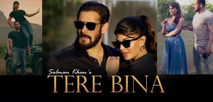 Tere Bina Lyrics - Salman Khan