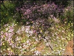 IMG_8591 IMG_8591