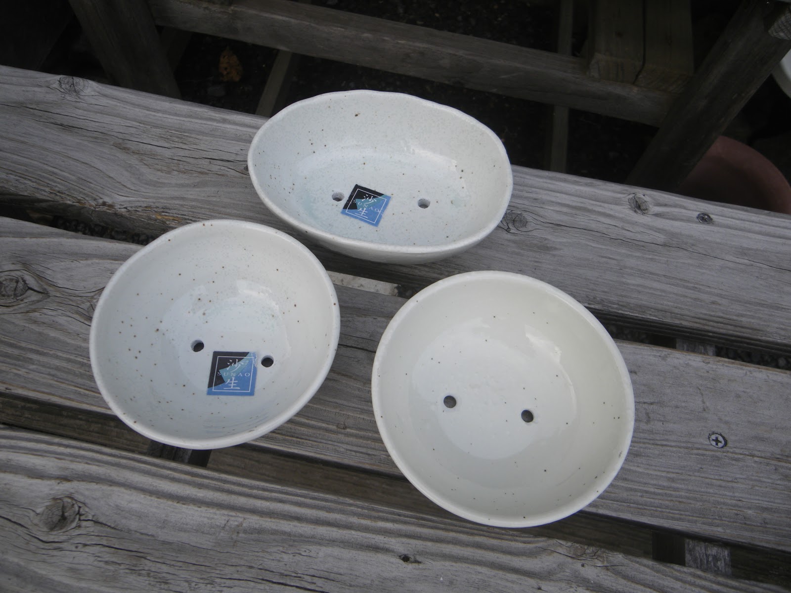 100円ショップ 百均 の陶器に穴を開けて ミニ盆栽の鉢にする メダカの大工