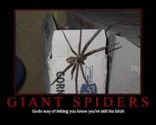 motivational giant spiders gods way of letting you know you are still his bitch, motivational pictures giant spiders, giant spiders, motivational spiders, motivational giant spiders god, motivational god, motivational funny, funny motivational pictures, gods way of letting you know you are still his bitch