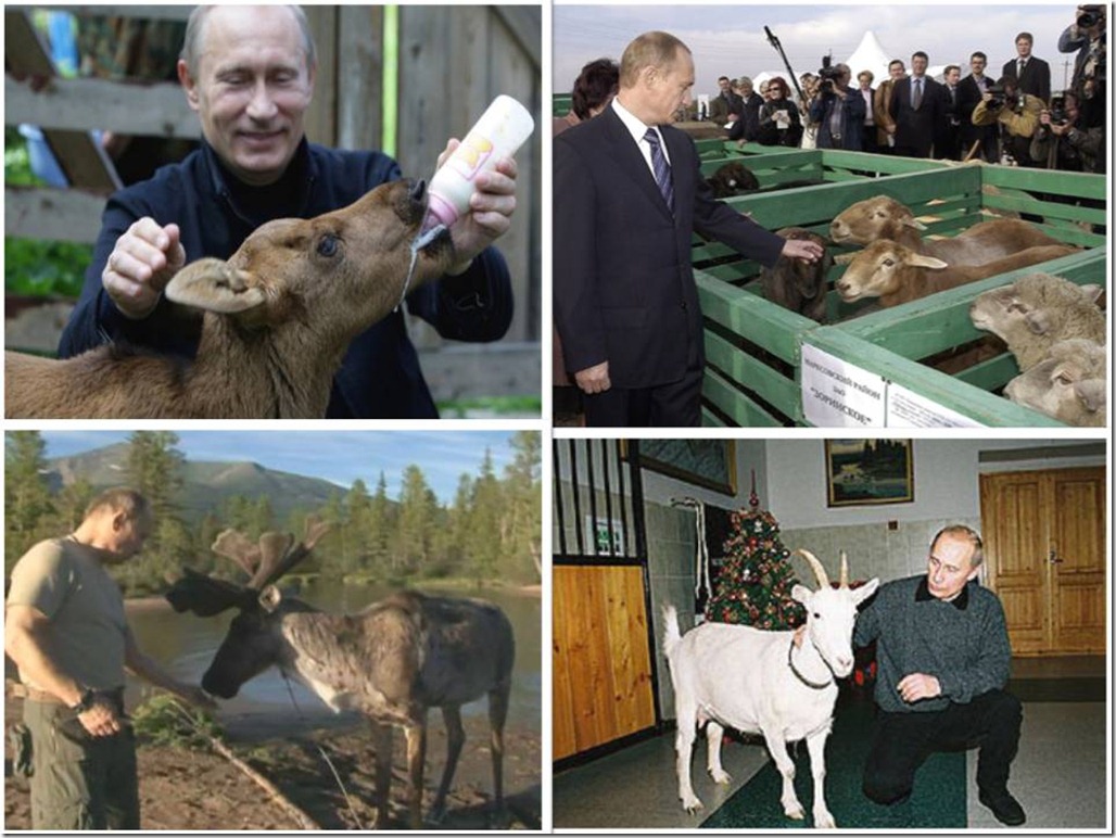 putin-animals06