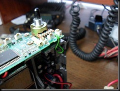 SAM_1252 (Small)