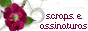 Luma D. Scraps e Assinaturas