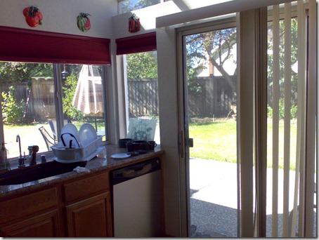 No grills in the glass window and back door from kitchen leading to back yard
