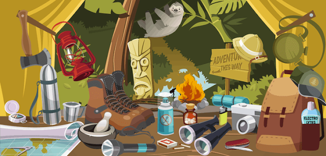 Safari Hidden Objects Quiz Answers