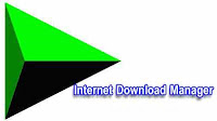 Internet Download Manager (IDM) 