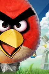Angry Birds  (11)