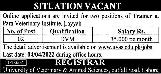 Latest University of Veterinary and Animal Sciences UVAS Management Posts Layyah 2022