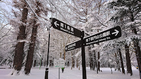 北海道 札幌 円山公園