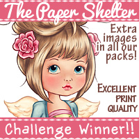 http://www.thepapershelter.com/index.php?main_page=