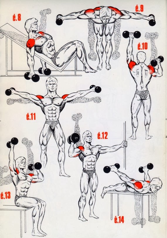 This a simple exercises for the begining's bodybuilding ~ fitness 