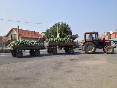 A tractor with melons