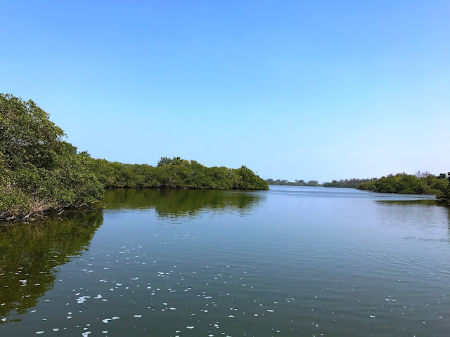 Pantanal Carioca - o paraíso escondido na Barra da Tijuca