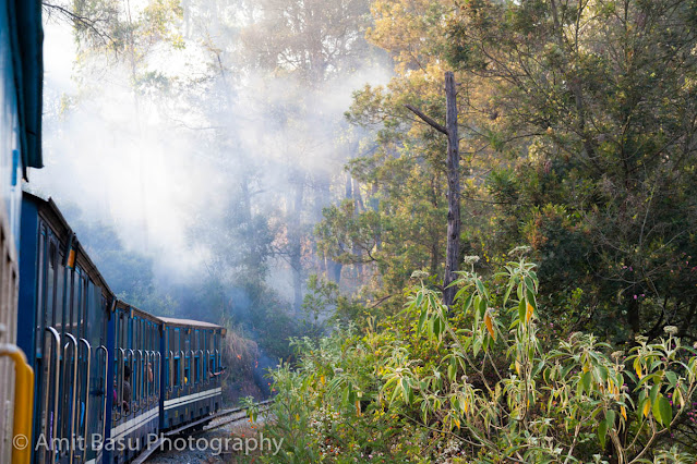 India - On the Coonoor - Ooty Railway