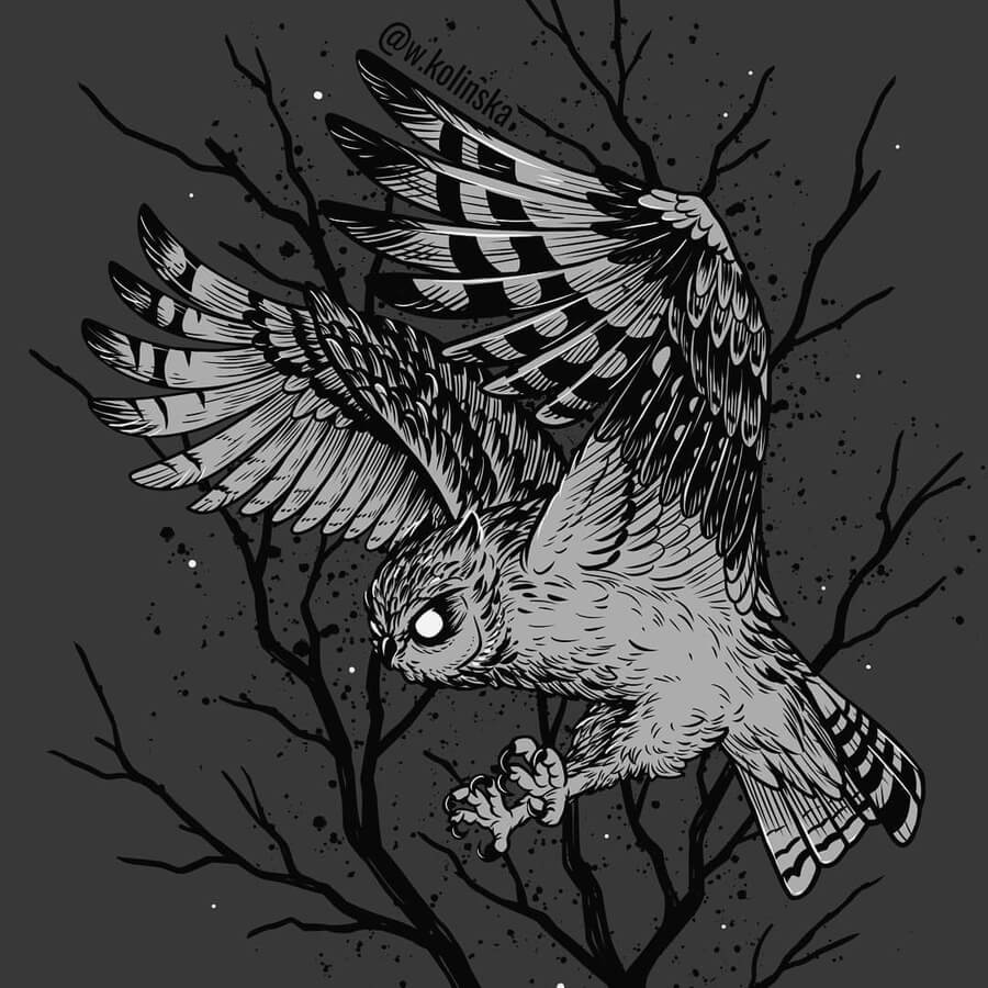 07-Short-eared-owl-Weronika-Kolinska-www-designstack-co