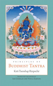 Principles of Buddhist Tantra: A Commentary on Choje Ngawang Palden's Illumination of the Tantric Tradition: The Principles of the Grounds and Paths of ... Secret Classes of Tantra (English Edition)