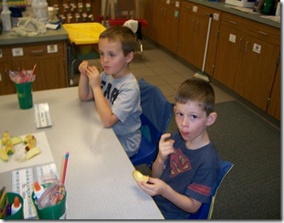 apple tasting