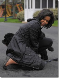 President Obama Dog