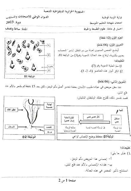 موضوع العلوم الطبيعية شهادة التعليم المتوسط 2023