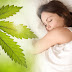 Natural Sleep CBD Gummies “2022 Update” Ingredients, Advantage, Price & Buy?