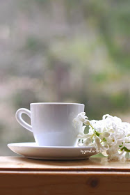 cup of coffee flower zambila floare white hyacinth ceasca cafea alba pervaz lemn munte brazi wordless wednesday miercurea fara cuvinte