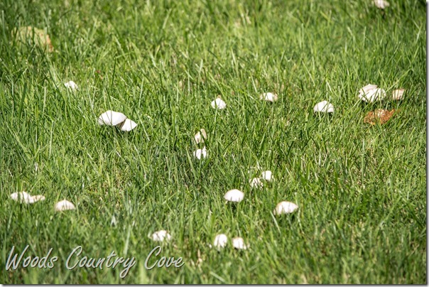AUGUST 2016 (54 of 63)