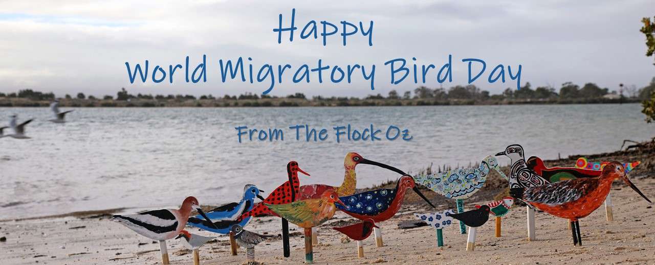 World Migratory Bird Day Wishes Images download
