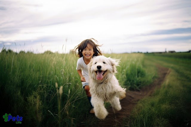 10 Tips to Keep My Dog Healthy and Happy