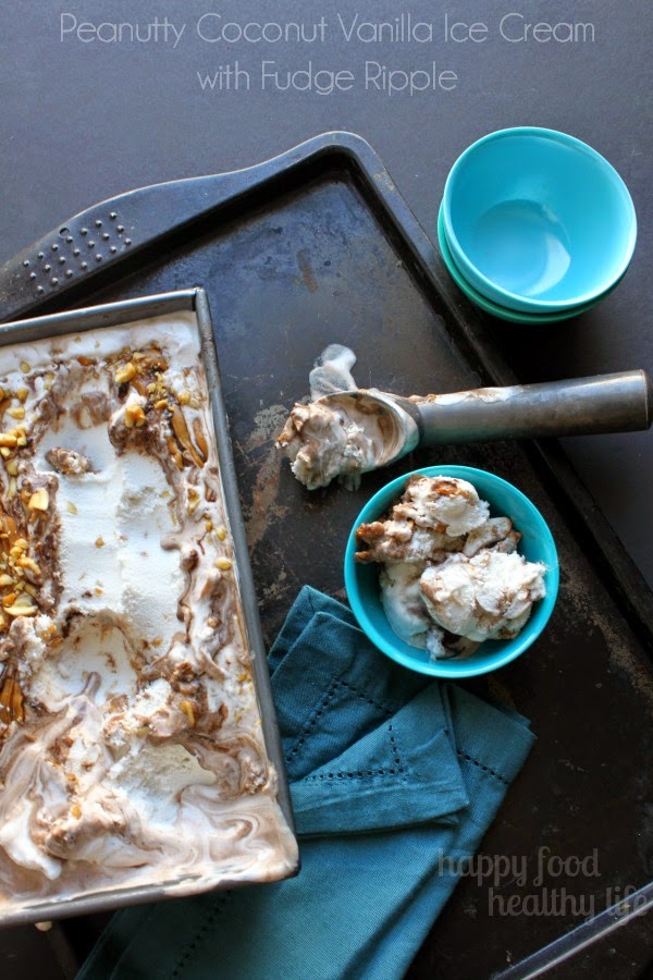 Peanut Coconut Vanilla Ice Cream with Fudge Ripple