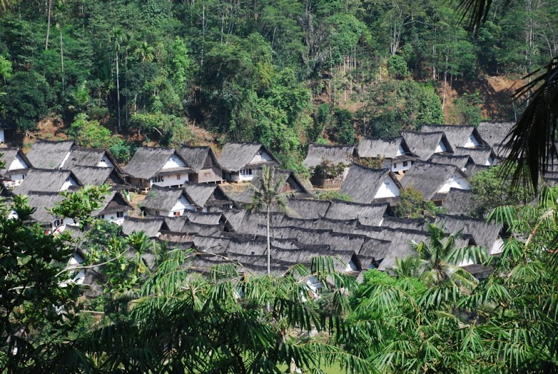 Konsep Penting 23+ Denah Naga