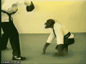 gifs animados de chimpance (9)