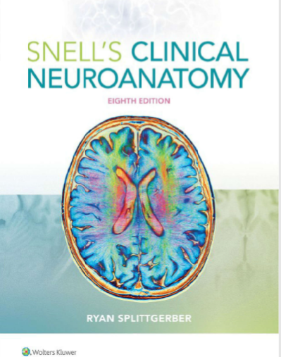 Clinical Neuroanatomy(Snell’s  8th Edition) PDF Free Download