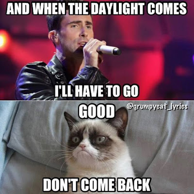 When the daylight comes I'll have to go. Grumpy Cat tells Adam Levine "Good, don't come back!".