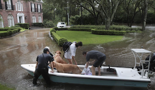 Why Wasn’t Houston Evacuated Before Hurricane Harvey?