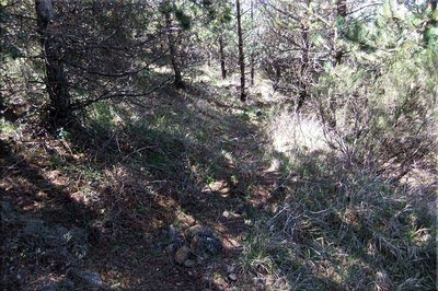 El sendero esta balizado con hitos de piedras