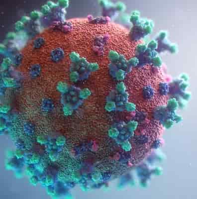 Novo estudo descobriu que pessoas com COVID-19 têm anticorpos que atacam seus sistemas imunológicos